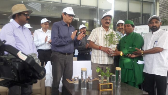 पौधा उपहार में देकर वृक्षमित्र डॉ सोनी ने मनाया विश्व पर्यावरण दिवस - RAIBAR PAHAD KA