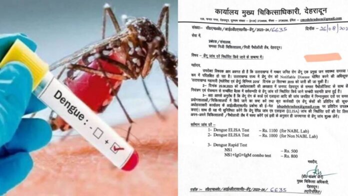 डेंगू की जांच दरों में नहीं चलेगी मनमानी, स्वास्थ्य विभाग ने तय किए रेट: देखें रेट लिस्ट - RAIBAR PAHAD KA
