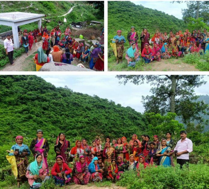 भौंसारी गदेरे के जलागम में मनरेगा से वृक्षारोपण का कार्य हुआ शुरू - RAIBAR PAHAD KA