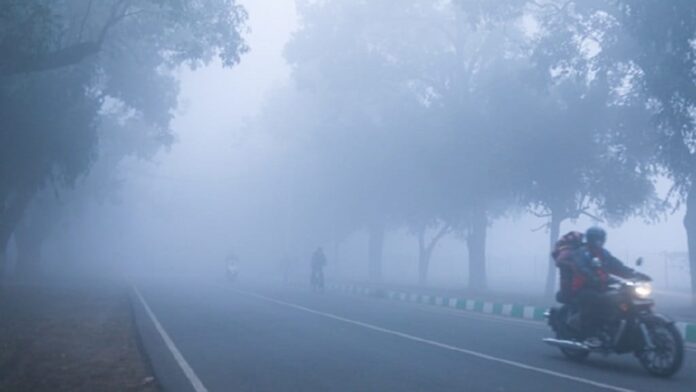 बारिश न होने से मैदान से लेकर पहाड़ तक सता रही सूखी ठंड, इस महीने 50 फीसदी भी नहीं हुई बारिश - RAIBAR PAHAD KA